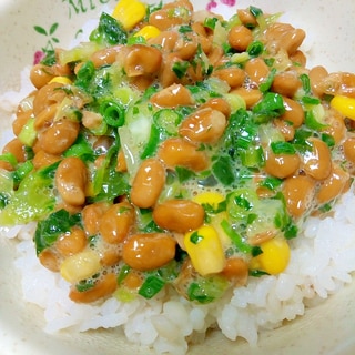 納豆の食べ方-広島菜＆野沢菜♪